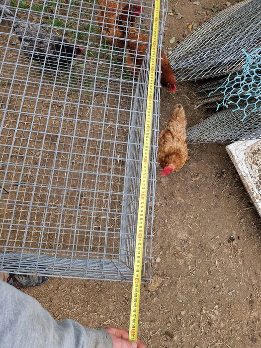 Klatki na króliki kury kaczki wolierze