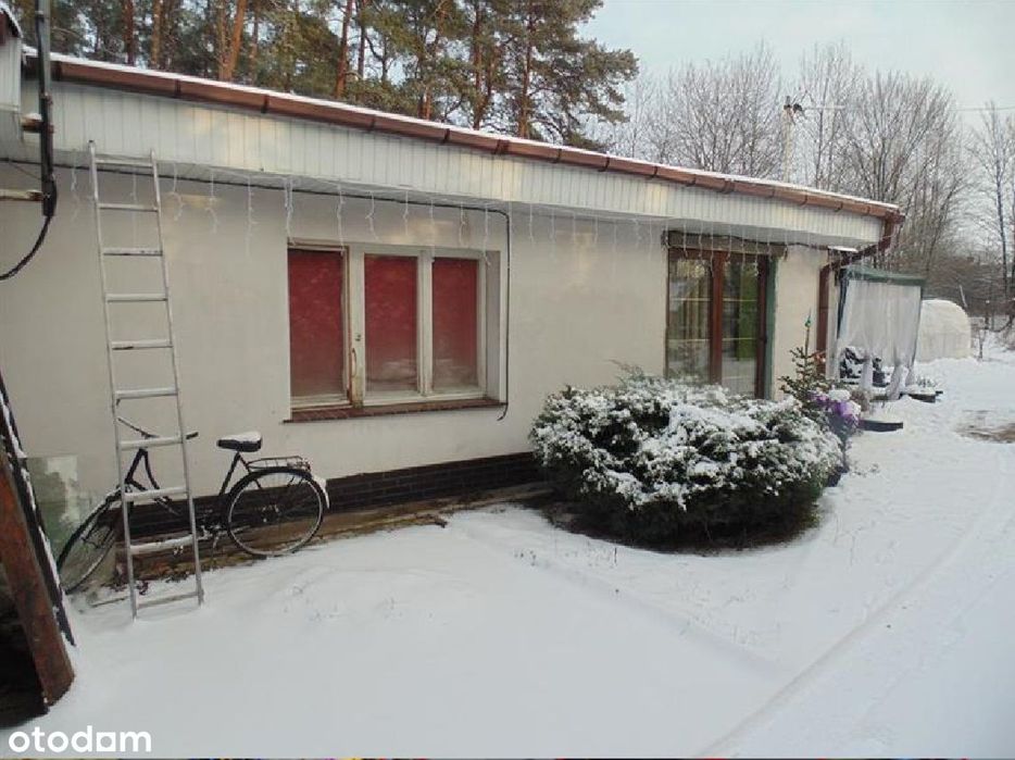 Dom: 69-200 Sulęcin, ul. Daszyńskiego