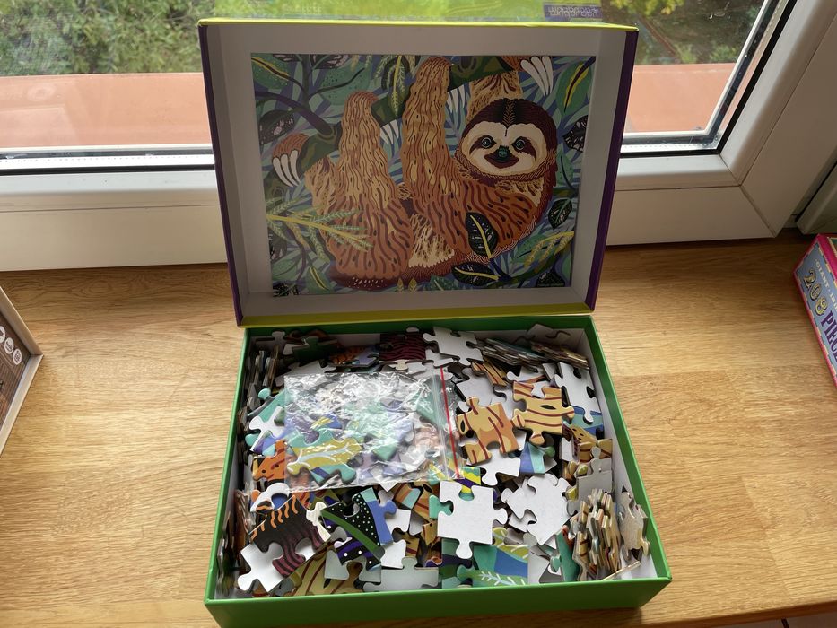 Puzzle pygmy sloth