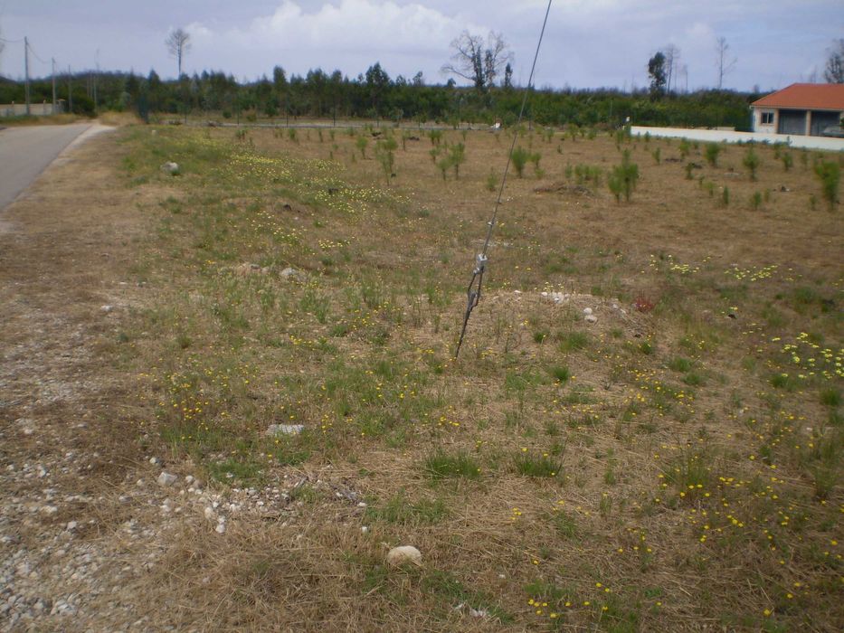 Terreno para construção