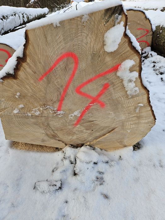 Drzewo tartaczne dachowe dłużyca jodła dąb