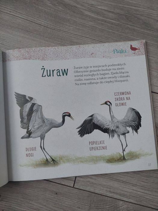 Elementarz naszej przyrody Zwierzęta
