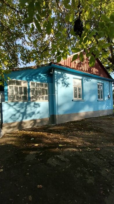 Продам будинок з ділянкою