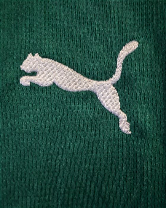 Camisola principal palmeiras