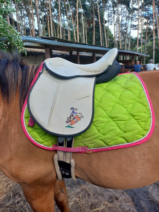 Siodlo na kucyka pony
