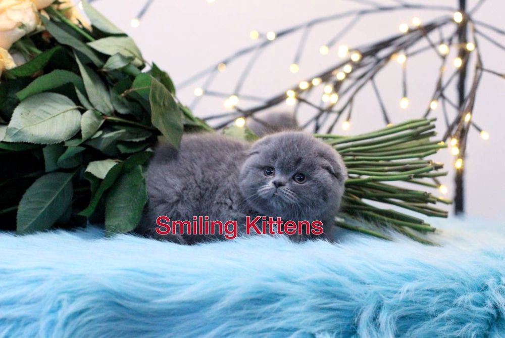 Завжди є куди ще краще