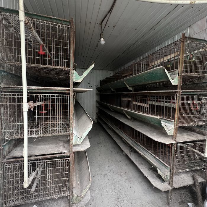 Клітка для вирощування курчат. Самовивіз!