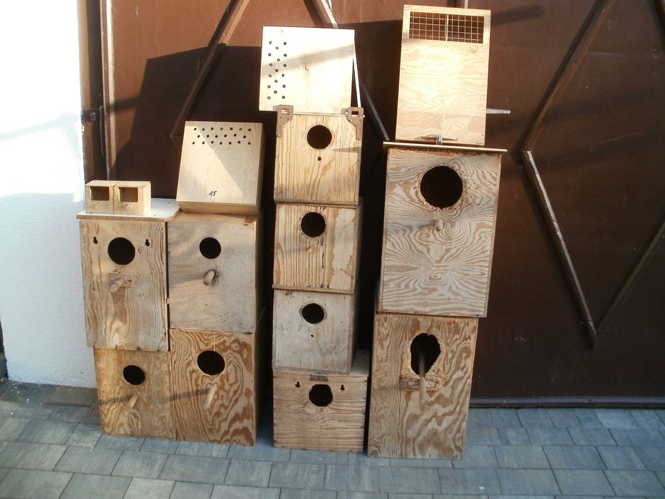 Budki lęgowe dla papug