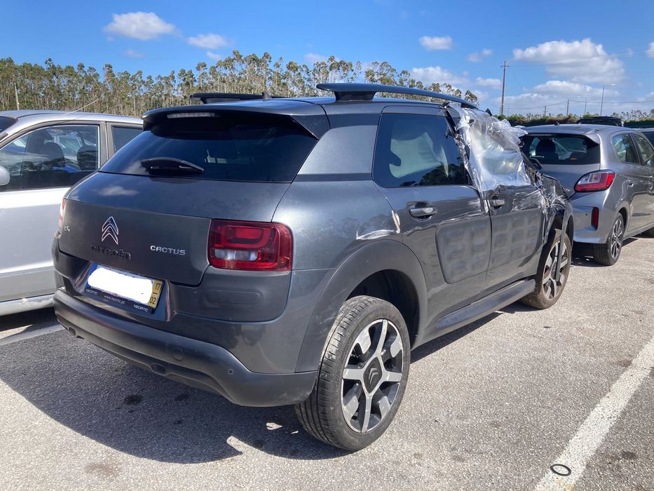 C4  CACTUS 2017 Gasoleo