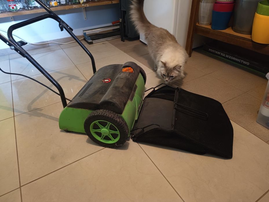 Aerator/wertykulator