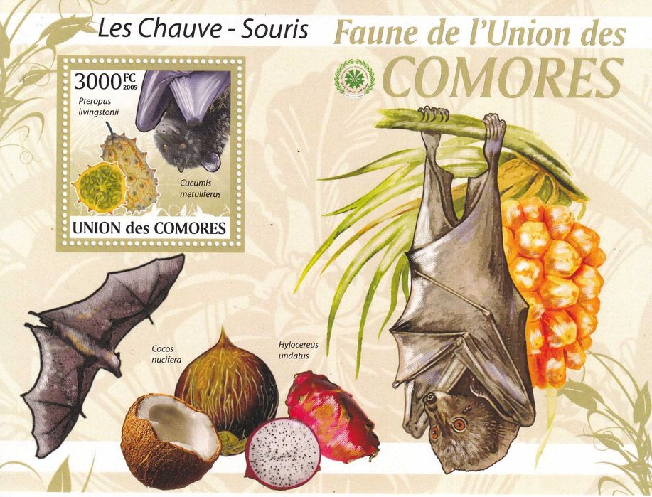 Komory 2009 cena 4,90 zł kat.12€ (3) - nietoperze