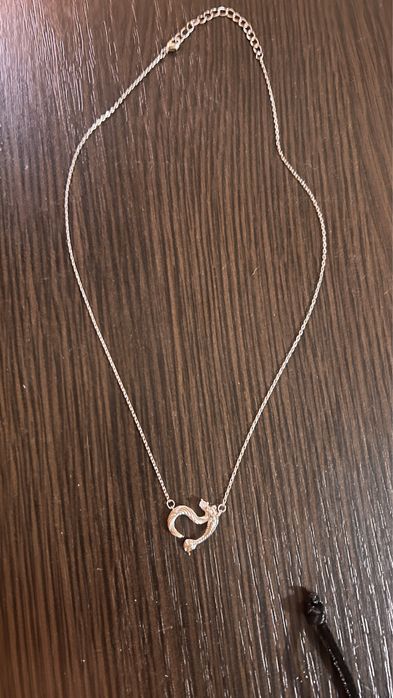 Цепочка на шию з кулоном