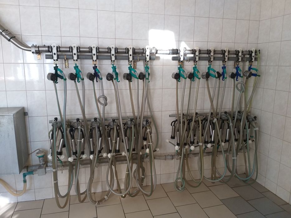 Міні ферма, молокопровод, вакуумна лінія для домашніх господарств.