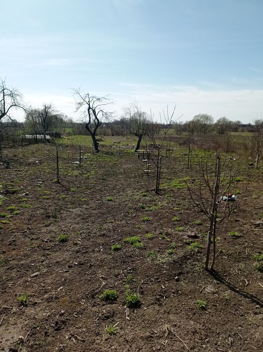 Новобудова біля міста Чернігів.