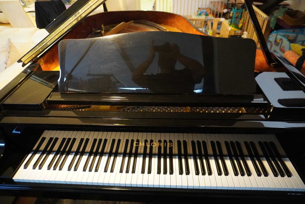 Piano de cauda 186cm