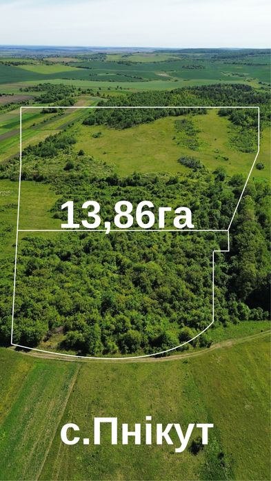 Продаж земельної ділянки с.Пнікут , Львівщина