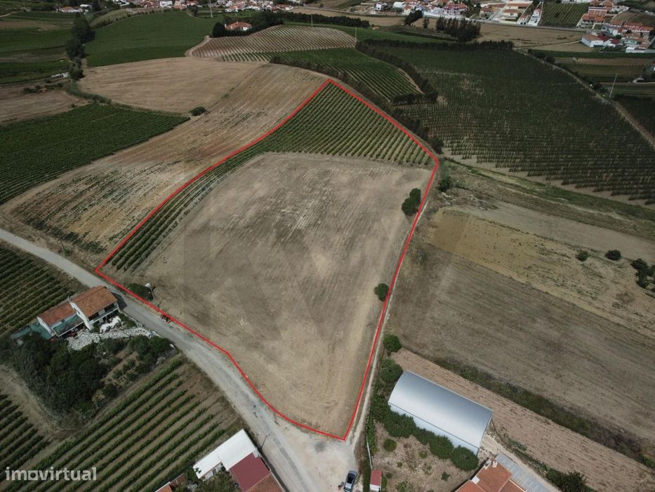 Oportunidade | Terreno De 15.080 M² | Freiria | Torres Vedras