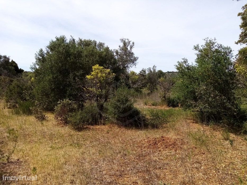 Terreno Rustico com 11 136m2, Loulé, Algarve