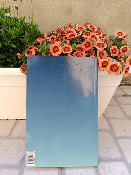 Balada de Amor ao Vento de Paulina Chiziane