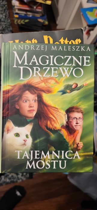 Magiczne drzewo tajemnica mostu - twarda oprawa