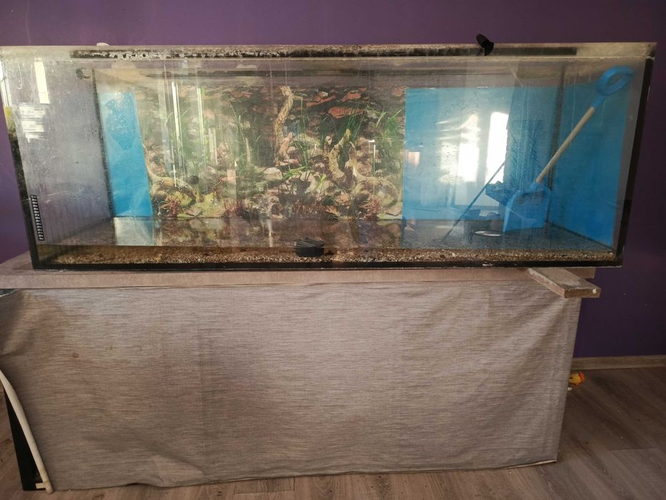 Zestaw Akwarium wraz z półką