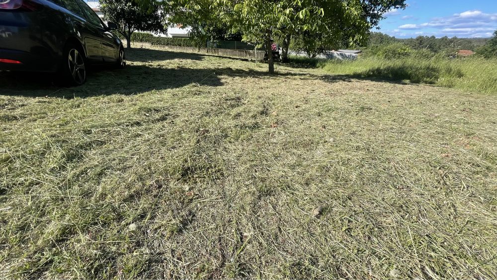 ServiÇo de desmataçao de terrenos agricolas