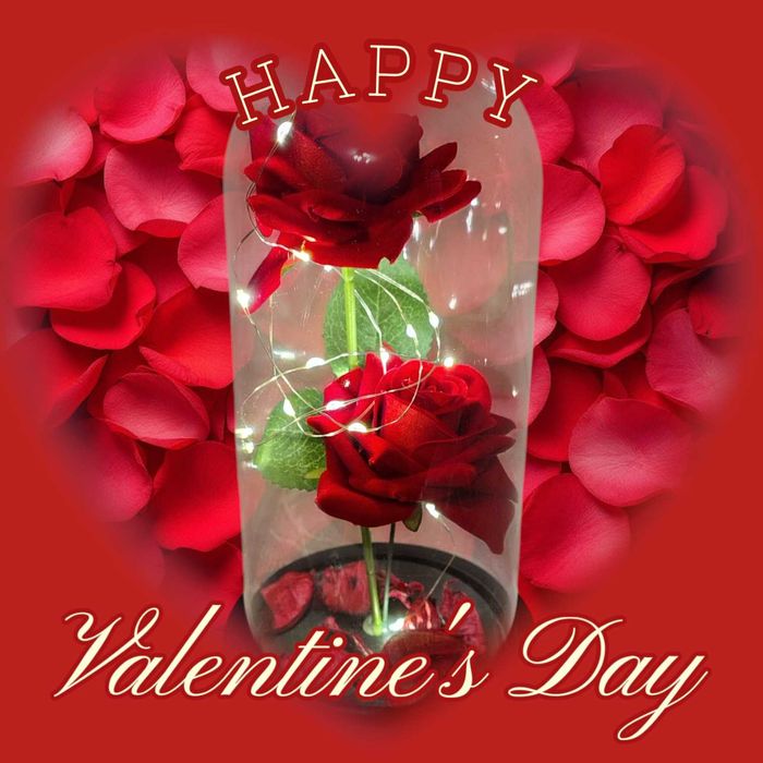 Wieczna Róża 2 róże z Oświetleniem LED prezent Walentynki