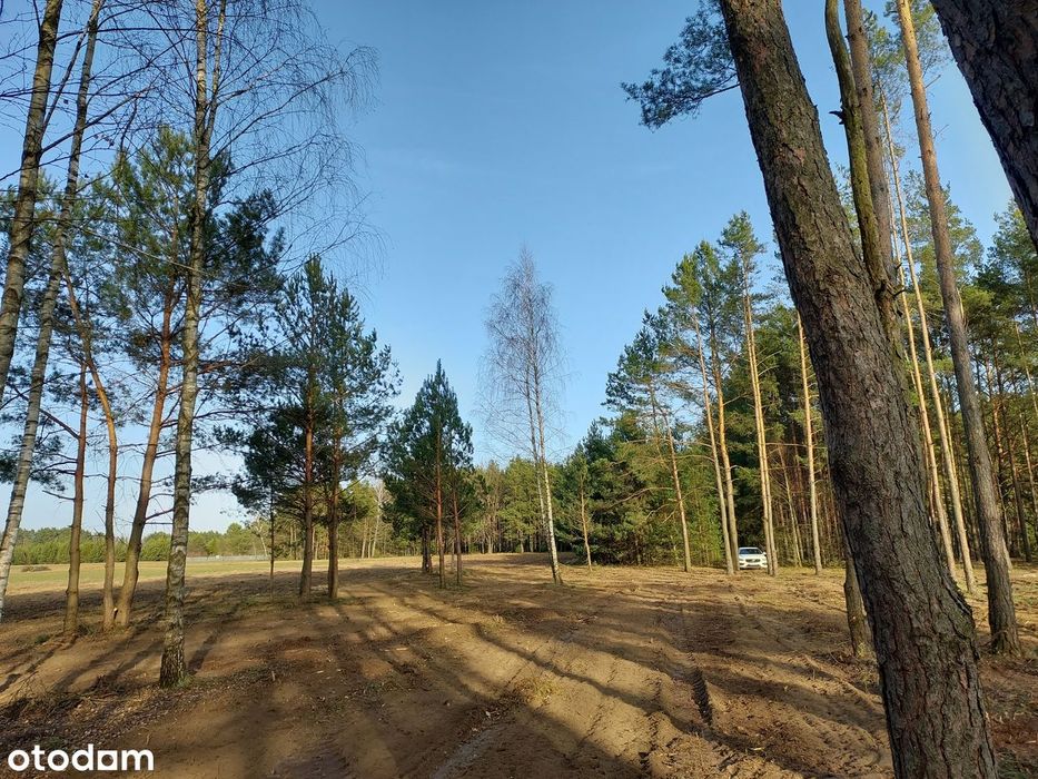 Rogóźno 1261m2 piękna działka blisko rzeki i lasu