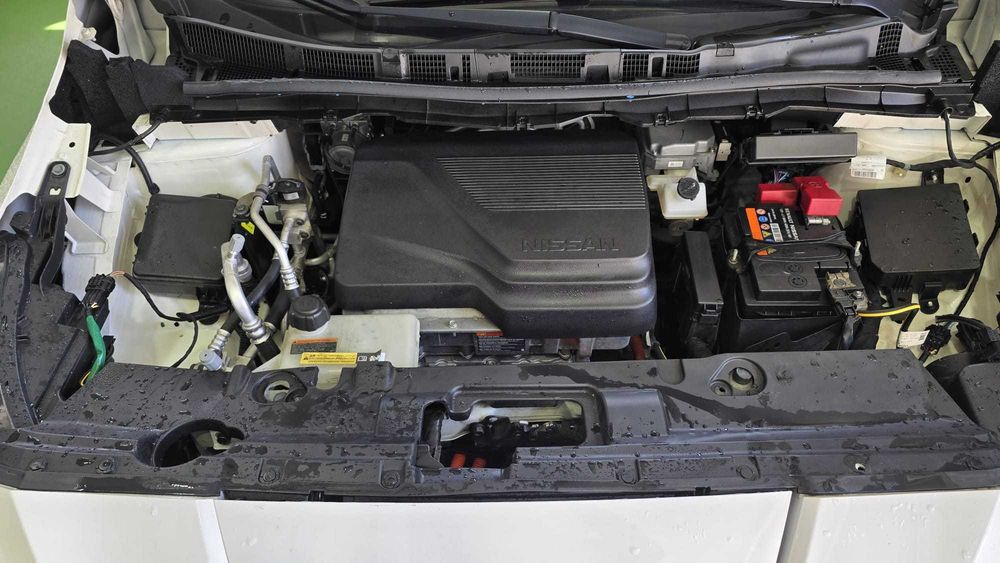 Nissan LEAF -  Salvado