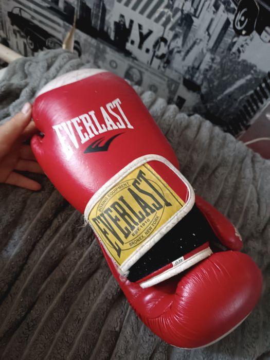 Боксерські перчатки EVERLAST