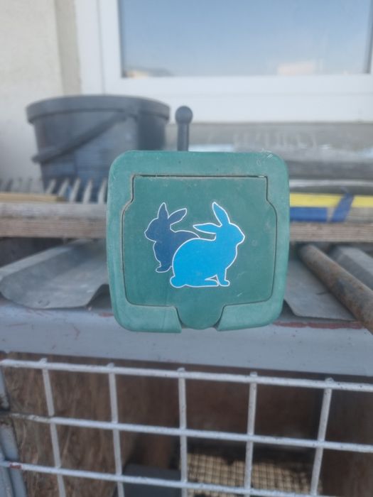 Poidła dla królików