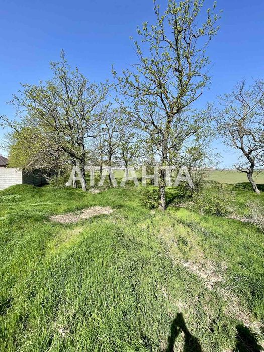 Участок в Лесках