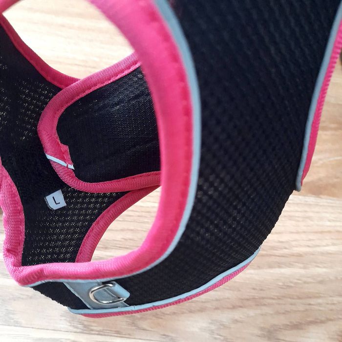 Шлейка для собак.