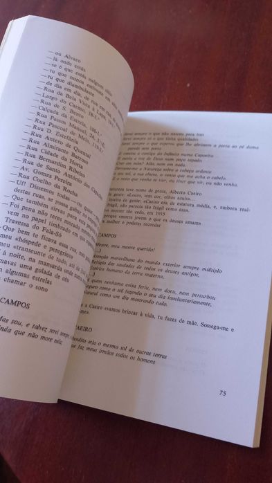 Fernando Pessoa Retrato Memória - Faculdade de Filosofia