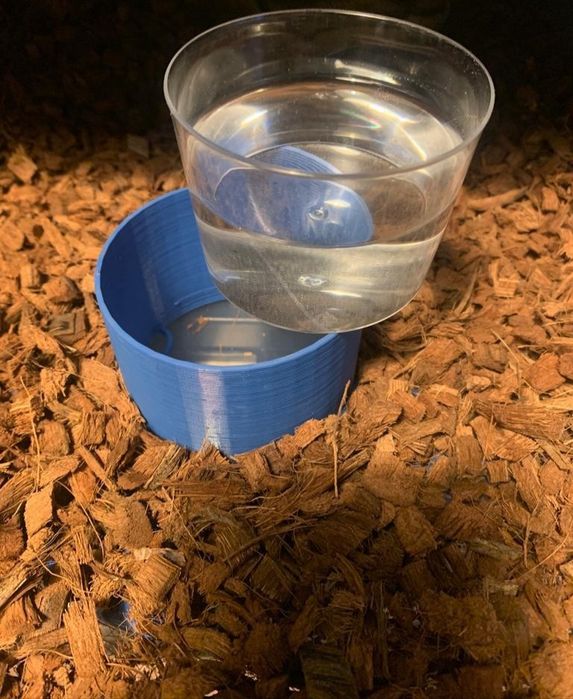 Base de taças de água para répteis