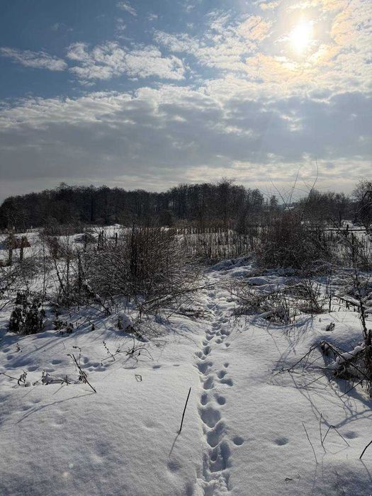 Продаж будинку, Заріччя
