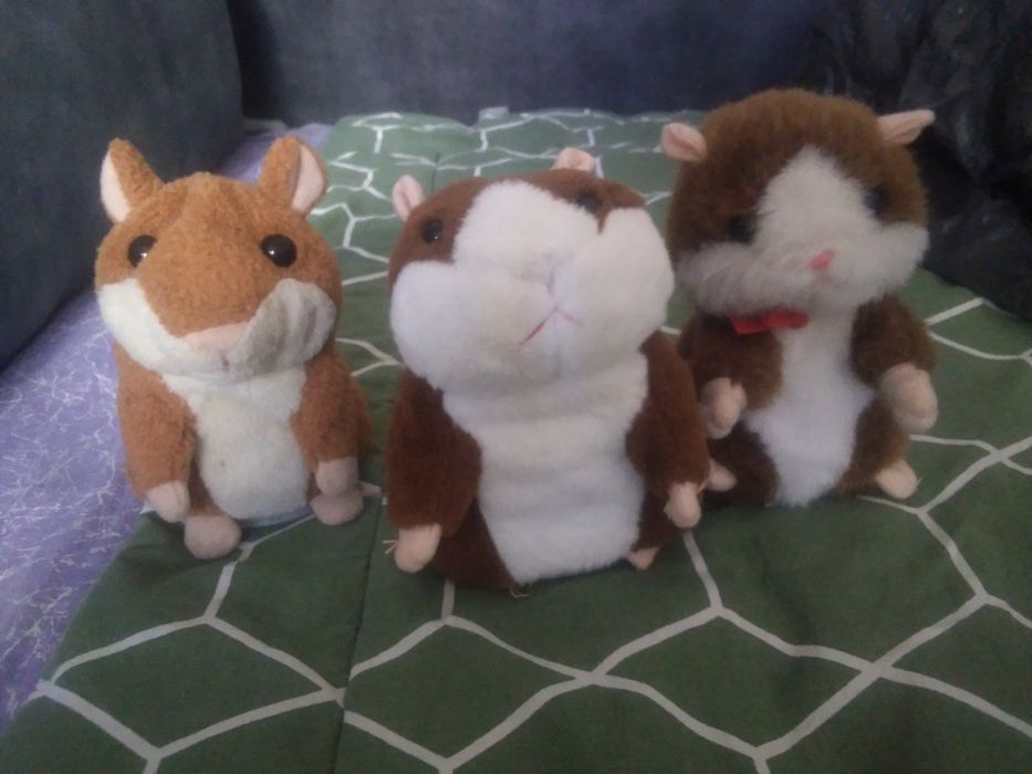 Хомяки повторушки