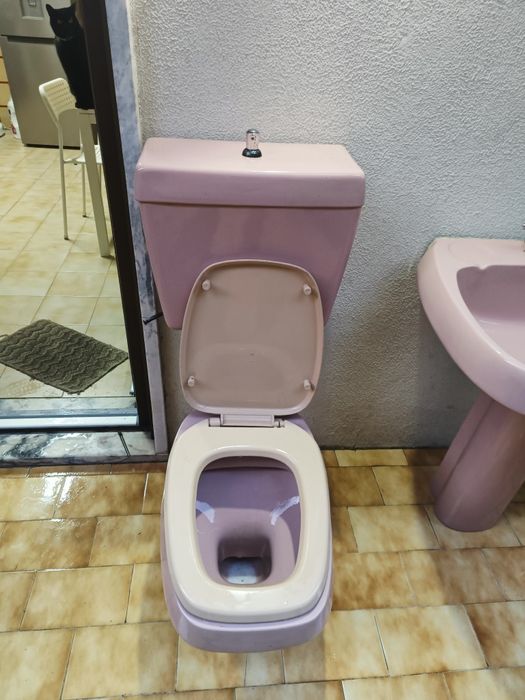 Louça de wc rosa