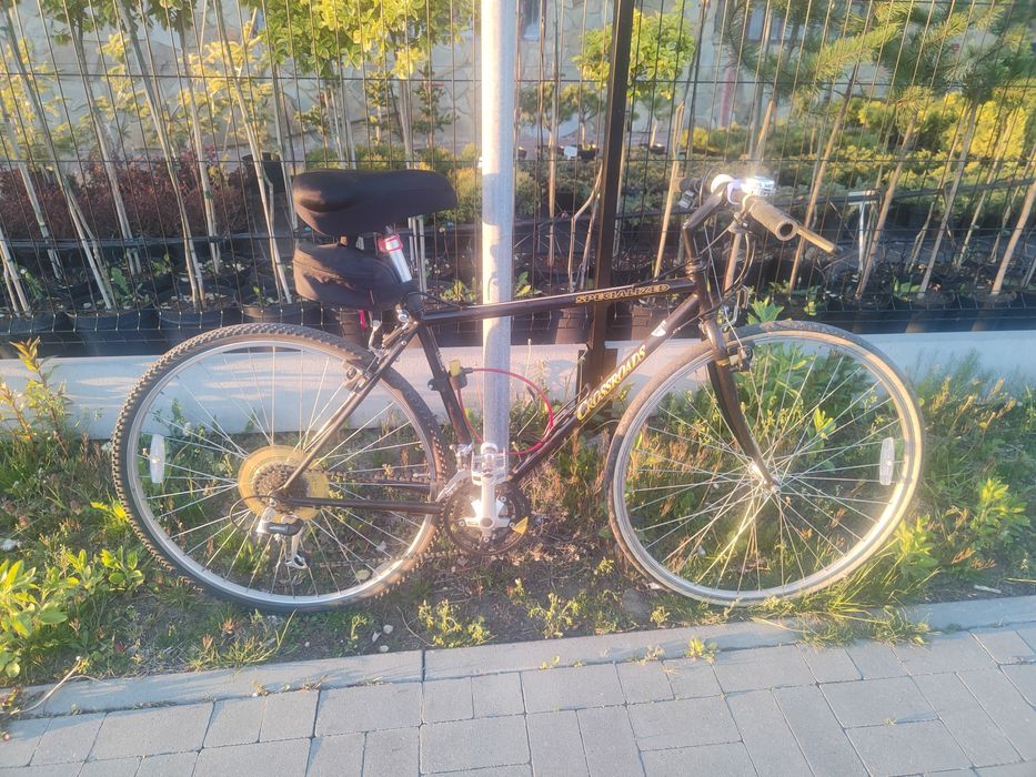 Rower Specialized