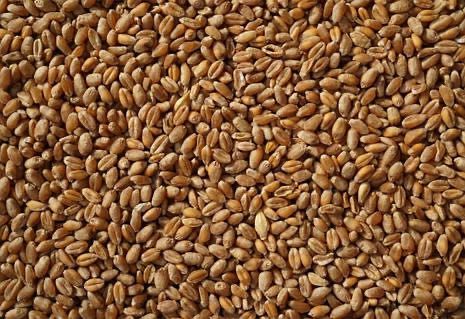 Продам пшеницю 5 тон з доставкою )