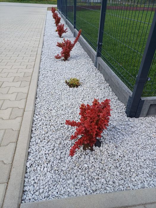 Grys granitowy dalmatyńczyk 1 gatunek