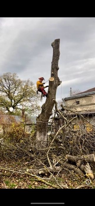 Чистка ділянок, благоустрій території, вивіз, подрібнення гілок