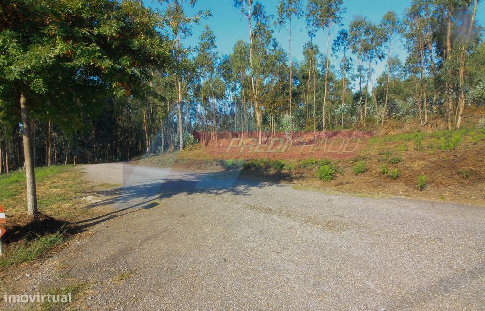 Terreno Florestal em Atiães, Vila Verde! — Atiães, Braga