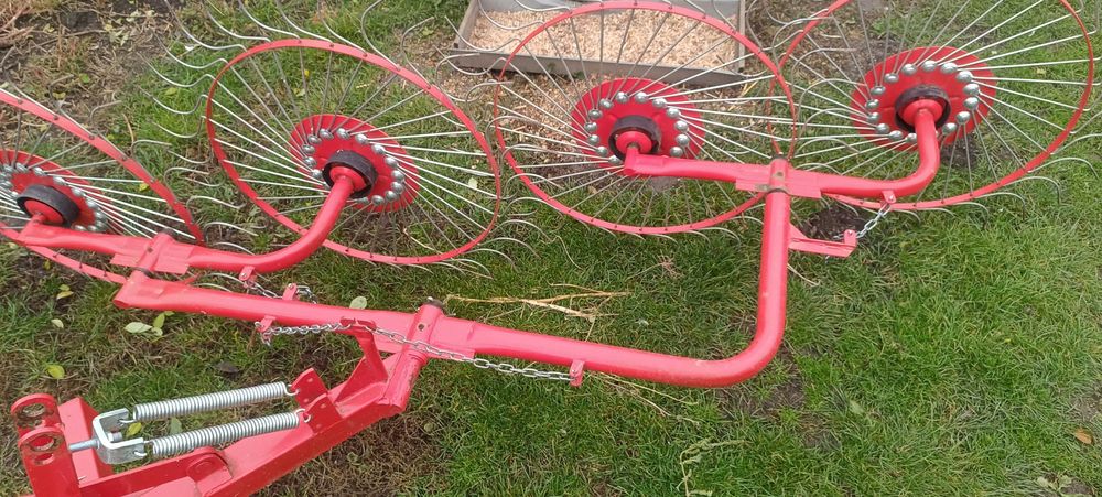 Грабарка сонечко