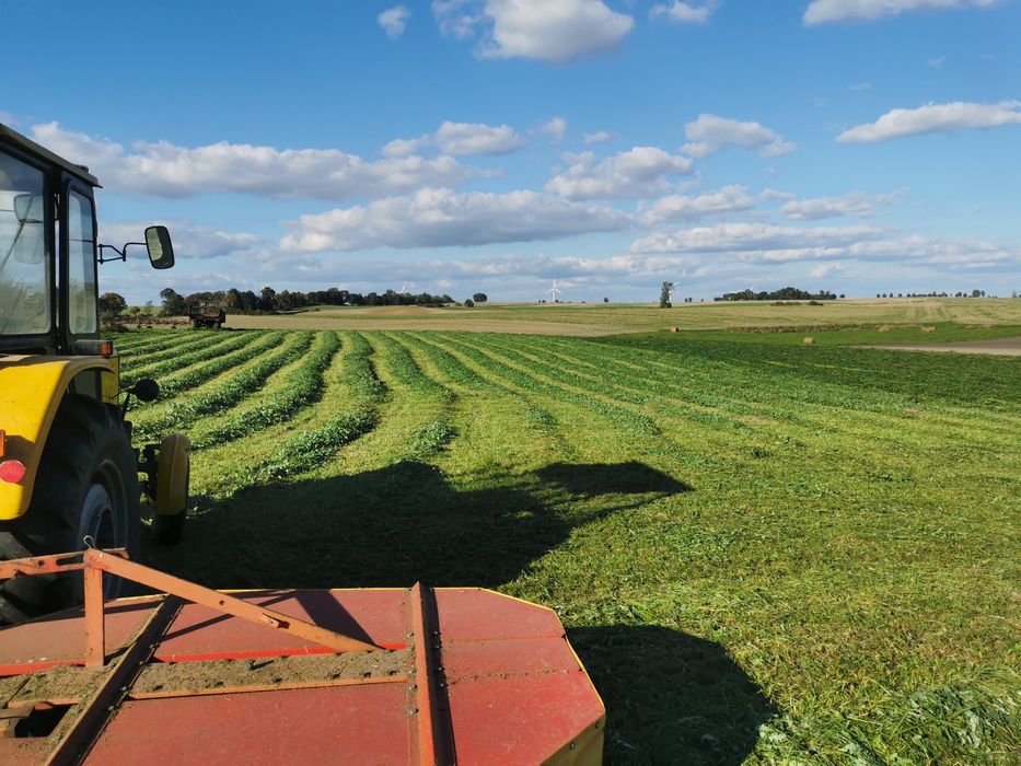 Sprzedam siano. Suche. Świeże. Bardzo dobra jakość.