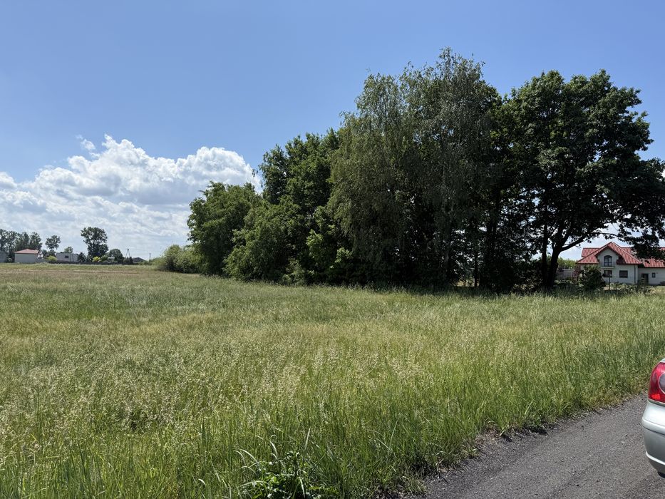 Sprzedam dzialke siedliskowa - Widok 2