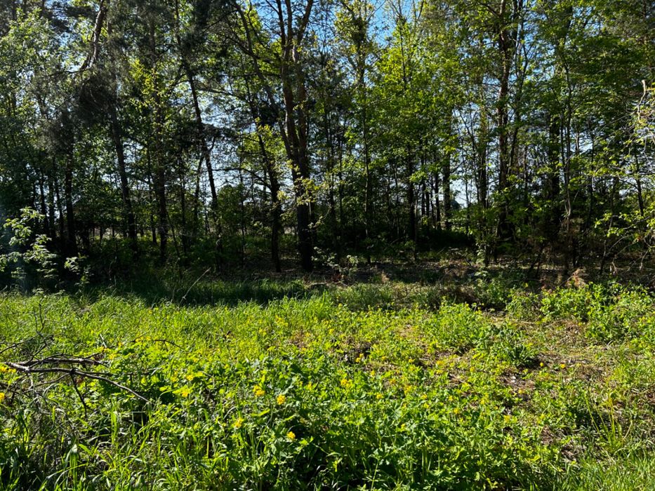 Działka rolno-leśna 3297m2 Radom ul Florentyny Jakubczak