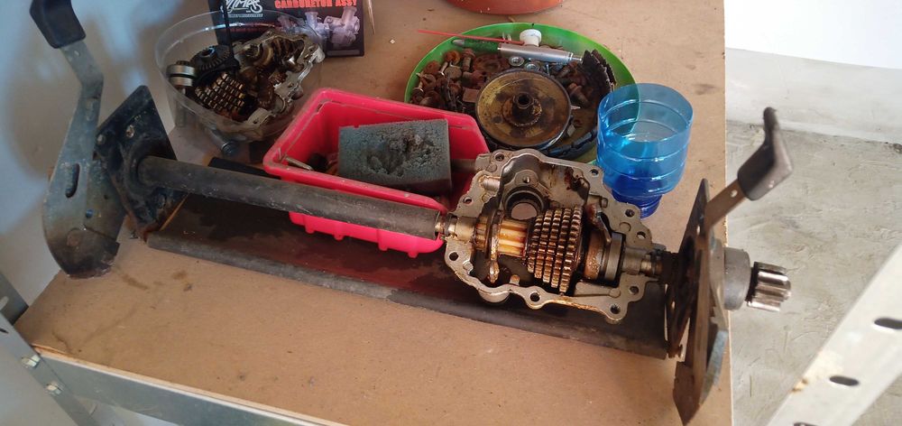 Kosiarka spalinowa do trawy John Deere