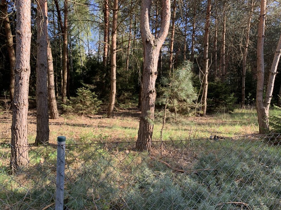 Ryki - Chrustne dzialka budowlana