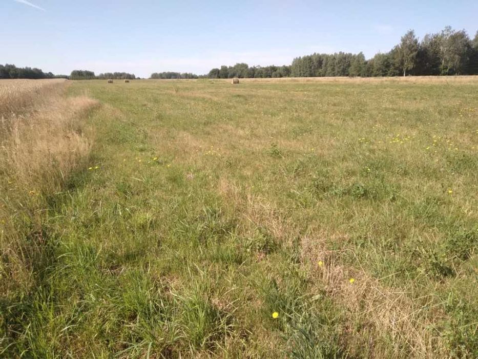 Działki budowlane 1023 m² – Anielinek, gm. Jakubów – blisko A2 - Widok 2